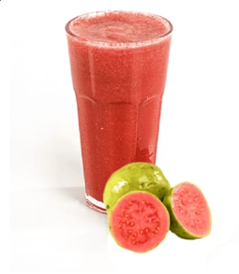 SUCO DE GOIABA 300ML